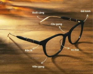 Phân biệt mắt kính chính hãng
